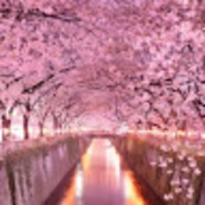 Meet your Posher, Sonja